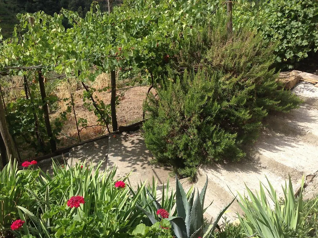 Holiday home La Casa Di Vera Levanto Italy